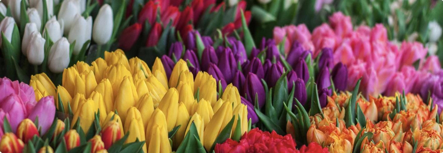 Flower traditions